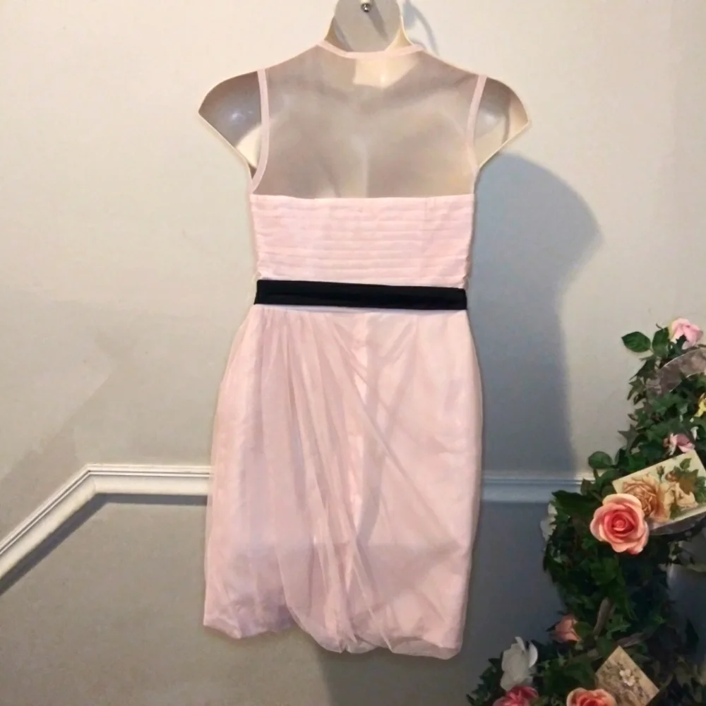 Vera Wang White Label Cameo Pink & Black Tulle Draped Special Occasion Dress - Picture 10 of 15